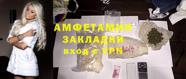 молекула духа Пестово
