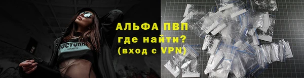 молекула духа Пестово