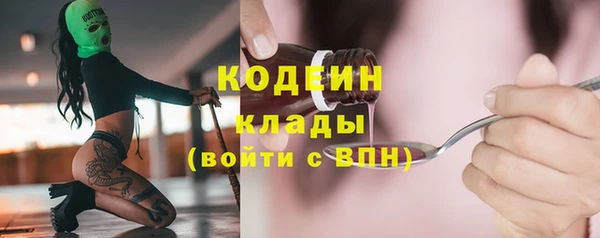 молекула духа Пестово