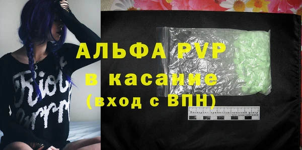 молекула духа Пестово