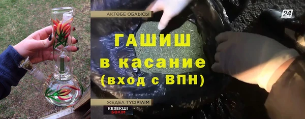 молекула духа Пестово