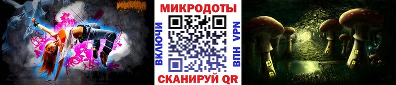 ссылка на мегу сайт  продажа наркотиков  Чегем  Галлюциногенные грибы мицелий 